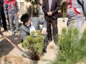 گزارش تصویری از آئیین درختکاری و تقدیر ازهمکاران فضای سبز دانشگاه